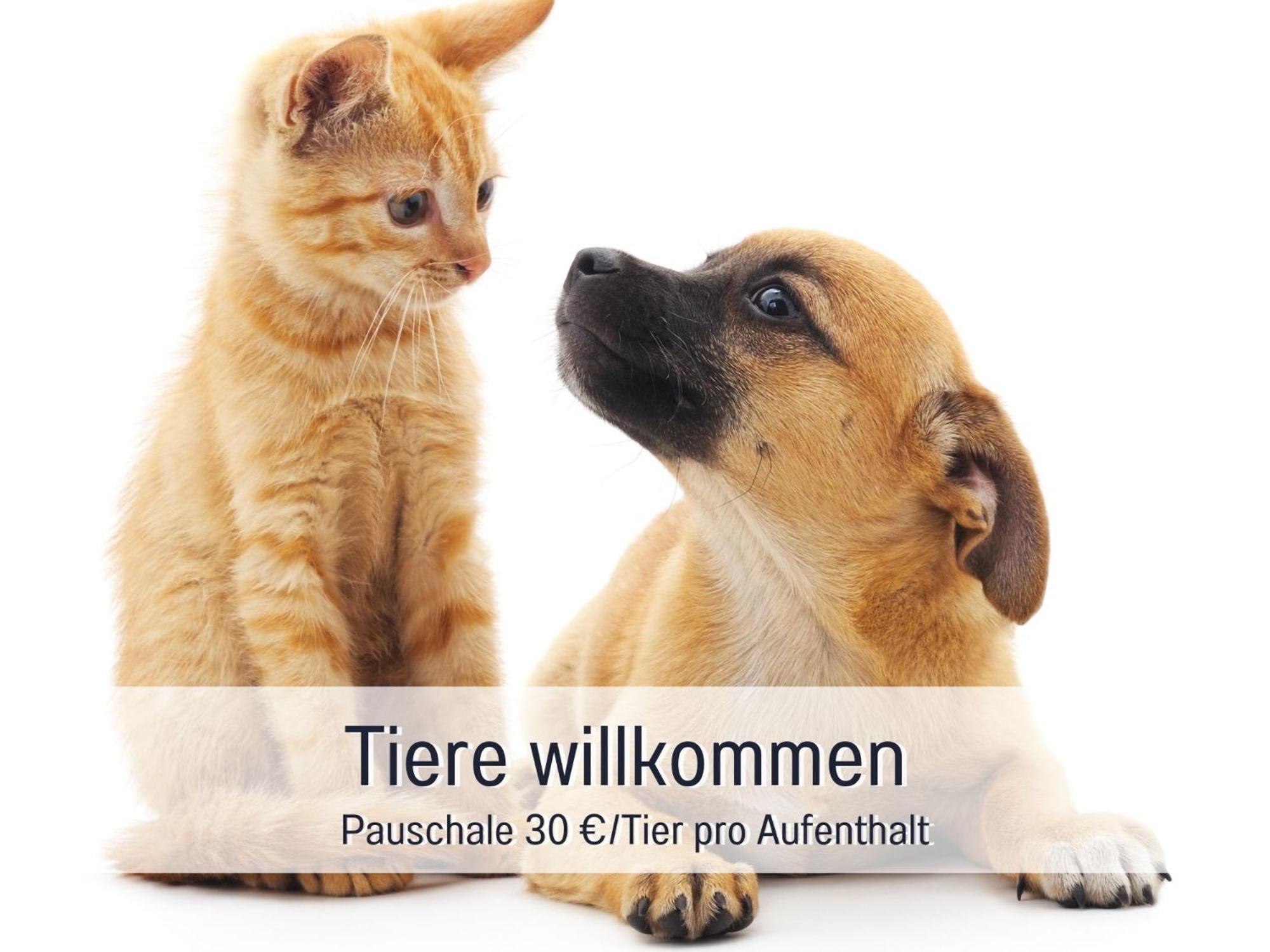 Sonnenterrasse - 3 Schlafzimmer, Whirlpool & Alpenblick - Perfekt Fuer Romantik Oder Familienurlaub Mit Kind , Hund Willkommen By Ferienwohnenamsee - Uberlingen Zewnętrze zdjęcie