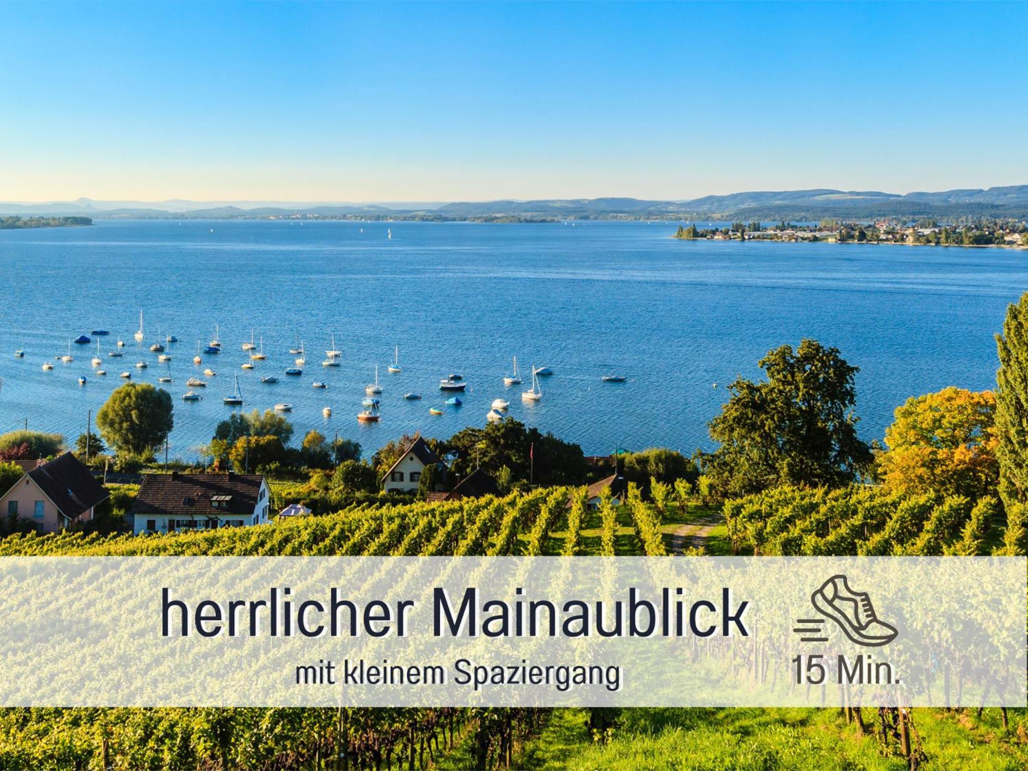 Sonnenterrasse - 3 Schlafzimmer, Whirlpool & Alpenblick - Perfekt Fuer Romantik Oder Familienurlaub Mit Kind , Hund Willkommen By Ferienwohnenamsee - Uberlingen Zewnętrze zdjęcie