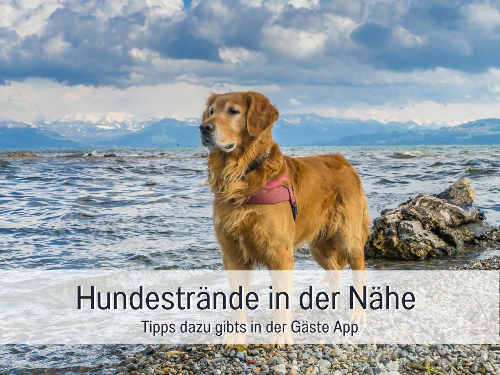 Sonnenterrasse - 3 Schlafzimmer, Whirlpool & Alpenblick - Perfekt Fuer Romantik Oder Familienurlaub Mit Kind , Hund Willkommen By Ferienwohnenamsee - Uberlingen Zewnętrze zdjęcie