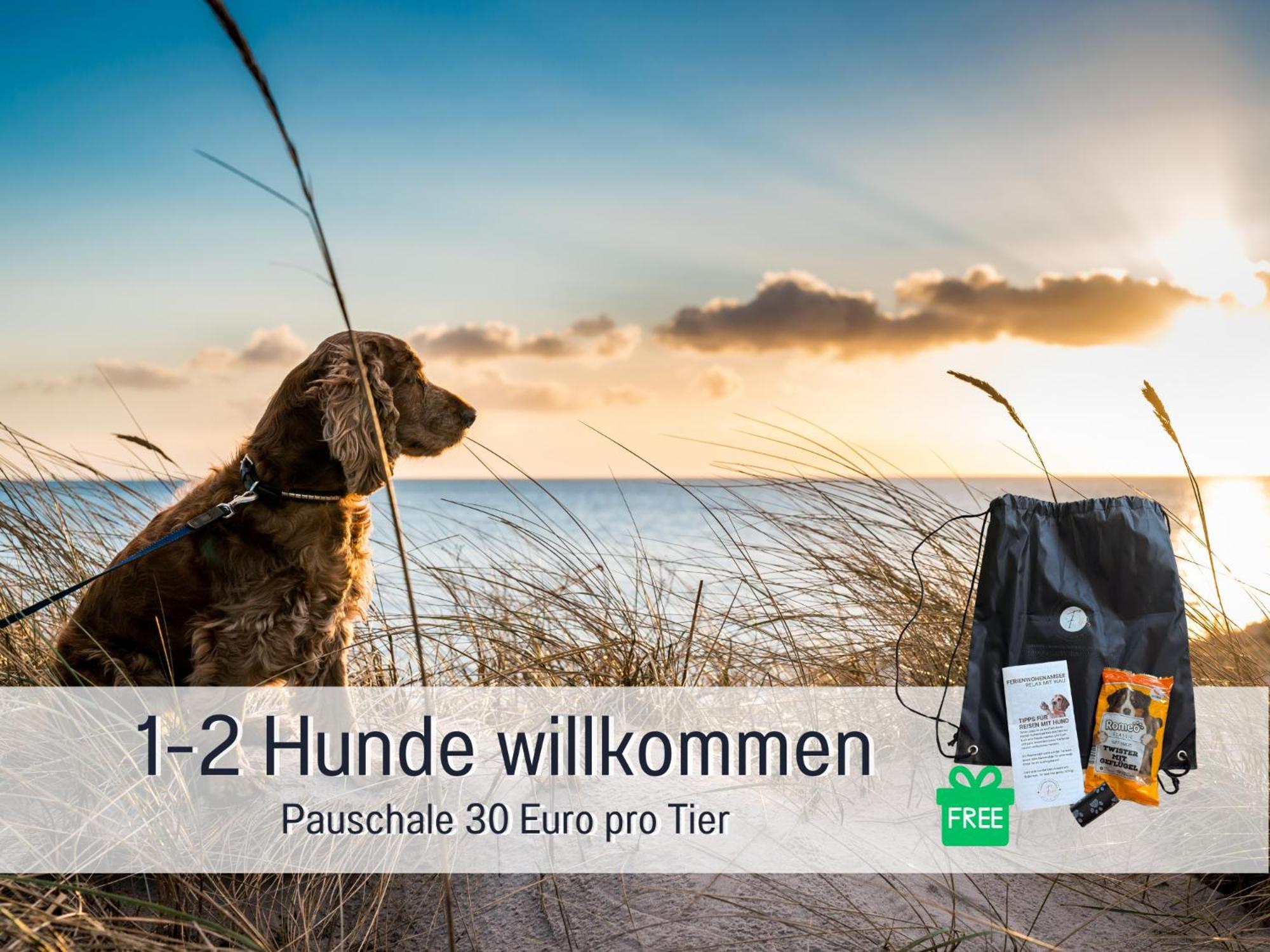 Sonnenterrasse - 3 Schlafzimmer, Whirlpool & Alpenblick - Perfekt Fuer Romantik Oder Familienurlaub Mit Kind , Hund Willkommen By Ferienwohnenamsee - Uberlingen Zewnętrze zdjęcie