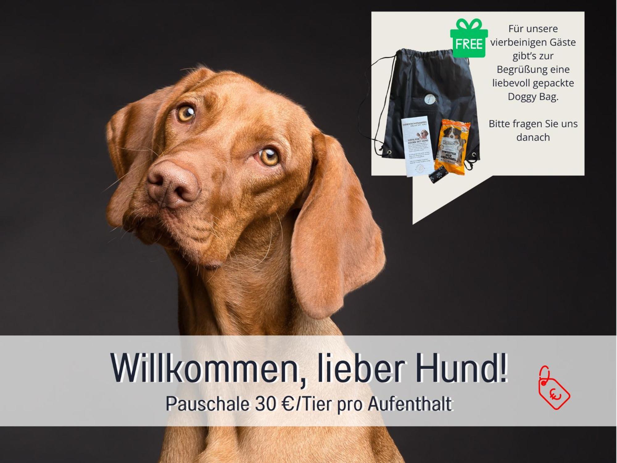 Sonnenterrasse - 3 Schlafzimmer, Whirlpool & Alpenblick - Perfekt Fuer Romantik Oder Familienurlaub Mit Kind , Hund Willkommen By Ferienwohnenamsee - Uberlingen Zewnętrze zdjęcie