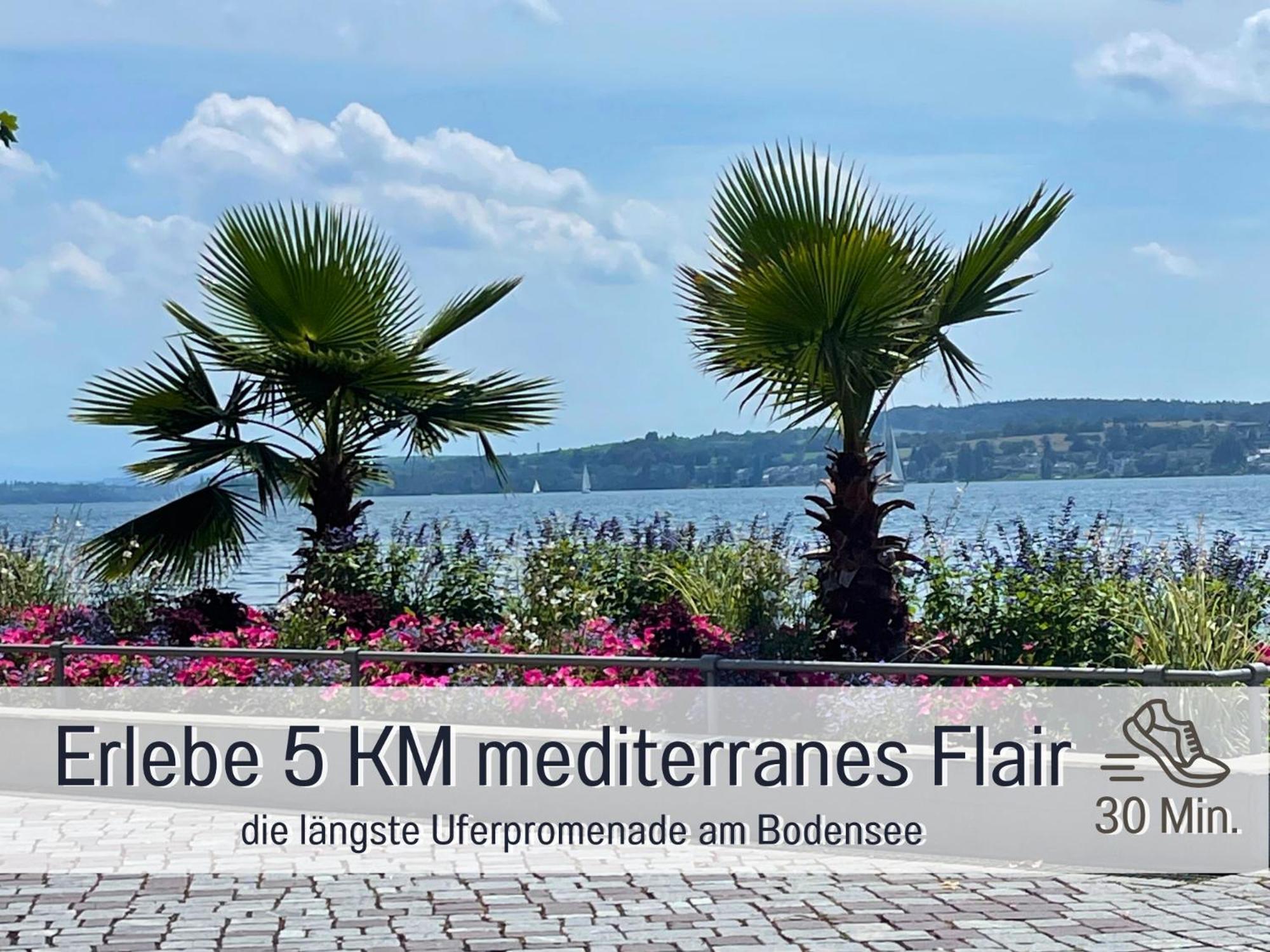 Sonnenterrasse - 3 Schlafzimmer, Whirlpool & Alpenblick - Perfekt Fuer Romantik Oder Familienurlaub Mit Kind , Hund Willkommen By Ferienwohnenamsee - Uberlingen Zewnętrze zdjęcie